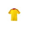 Maillot de jeu ERIMA Tiago