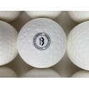 balle Mercian Evolution Elite
